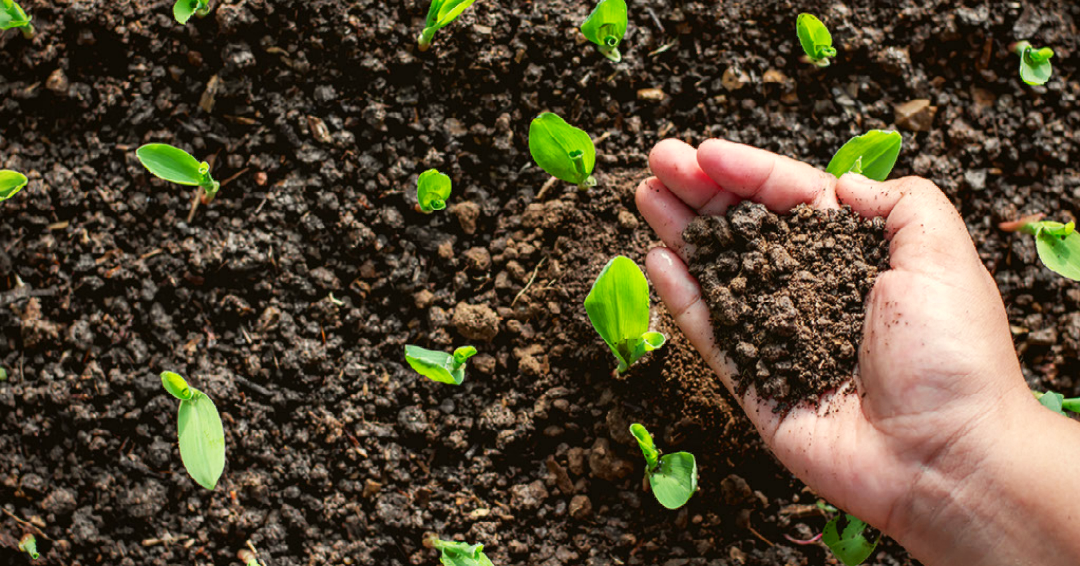 loam-soil-composition-properties-pros-and-cons-self-gardener