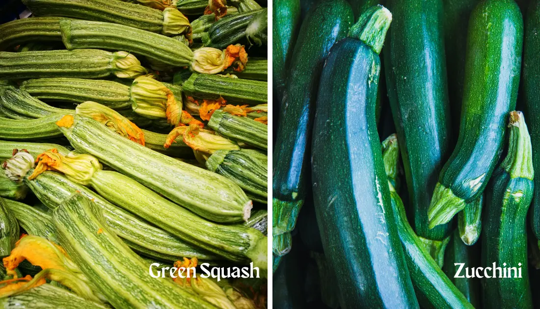 Green Squash vs. Zucchini Comparison