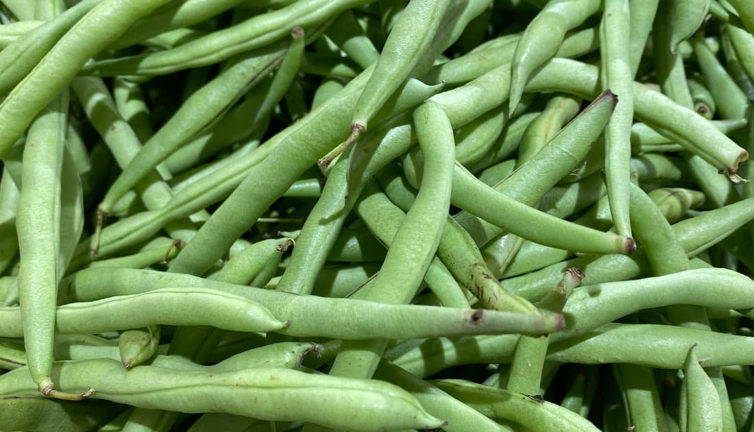 French or green Beans